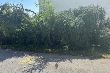 BAJINA BAŠTA BEZ STRUJE! Oluja napravila haos, ODNET KROV ŠKOLE