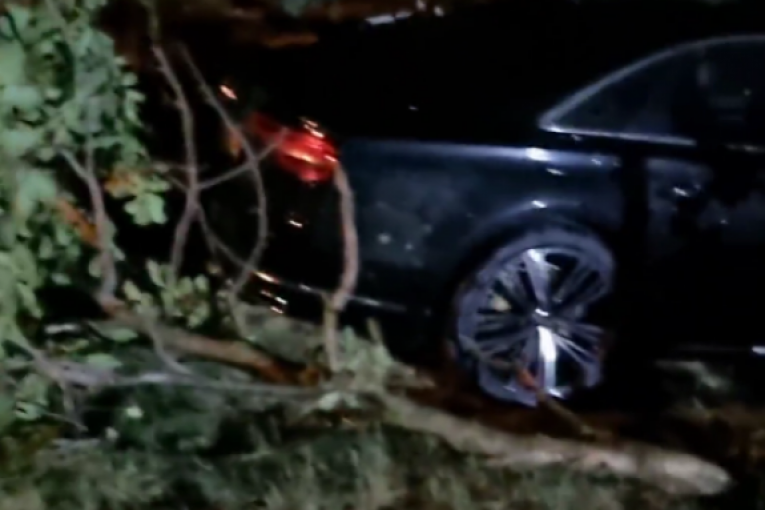 Milan Topalović Topalko