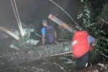 DRAMA U SLOVENIJI: Drveće popadalo na put, na Triglavu ostalo zarobljeno 90 planinara, među njima 35 slepih i slabovidih