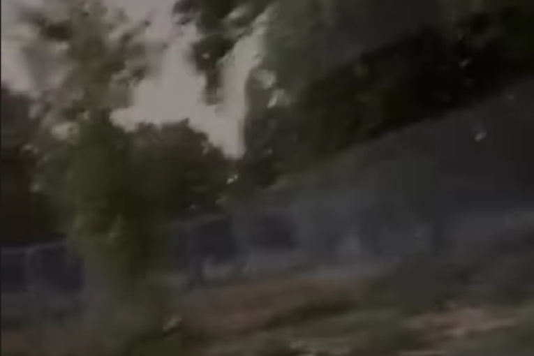 Milica Mitrović Instagram