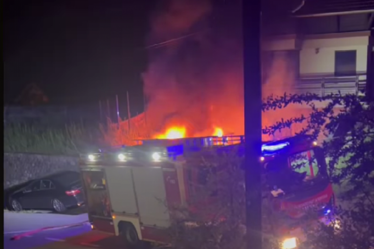 Kristina Radenković Instagram