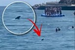 SPASAVALI SE KAKO SU STIGLI! Uočene ajkule tik uz plažu, mrežama kruži JEZIV SNIMAK - opšta panika zavladala među turistima (VIDEO)