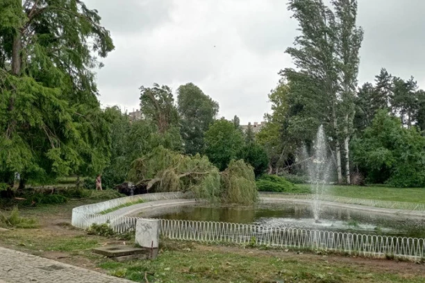 ZATVORENI PARKOVI U NOVOM SADU: Gradsko zelenilo donelo odluku nakon nevremena - evo šta se dešava zbog sanacije štete od orkanske oluje (FOTO)