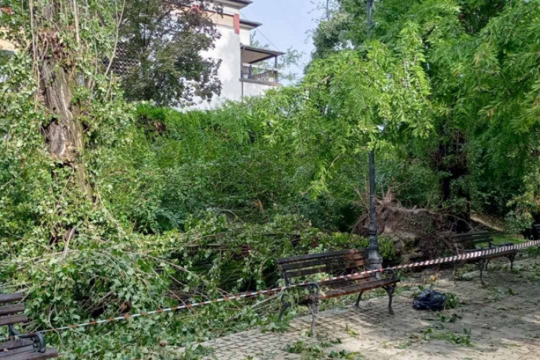 Zatvoreni parkovi u Novom Sadu