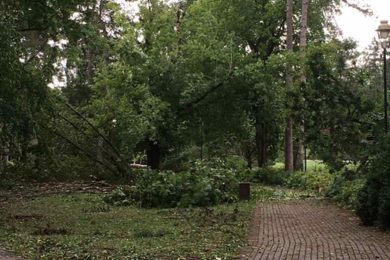 Parkovi u Novom Sadu