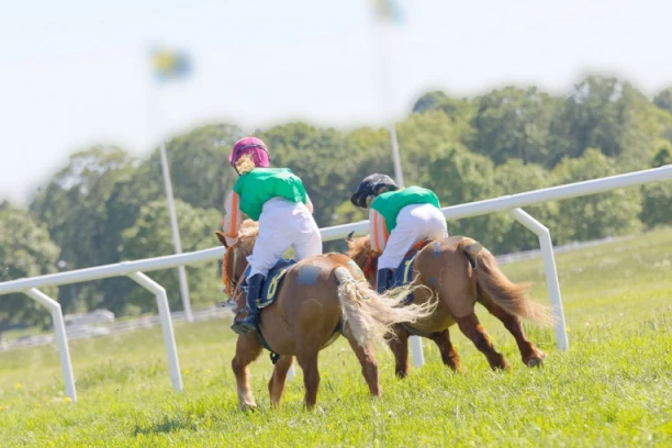 DRAMA NA BEOGRADSKOM HIPODROMU: Povređene dve devojčice - jedna hitno prevezena u Urgentni centar