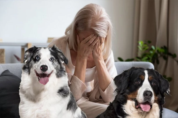 "UBILI SU MI MOJU DECU!" Nadi eutanazirali pse sa srpskim pasošem na ulazu u Švedsku: Ubili i štence, a onda pokušali sve da OBJASNE! JEZIVO!