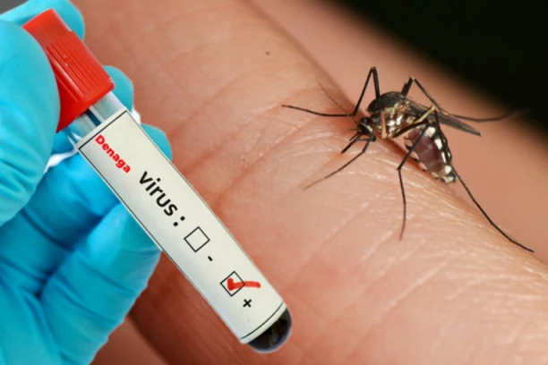 OVO JE NOVI DENGA VIRUS KOJI JE UZNEMIRIO SVET! Zabeleženi prvi slučajevi, prenose ih KOMARCI, ovo su simptomi!