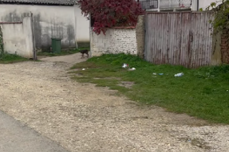 Jana Todorović pokazala rodnu kuću na Kosovu i Metohiji