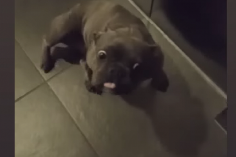 Ana Ćurčić demoliran stan