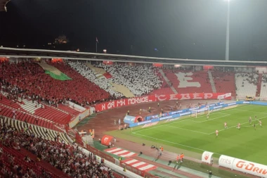 MOĆNA KOREOGRAFIJA: Delije pozivaju, KUPITE SEZONSKE karte! (VIDEO)