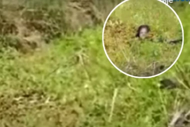 NEMAN POVUKLA ŽENU U VODU, SAMO JOJ GLAVA VIRILA: Zver iz močvare napala još jednom, niko nije smeo da priđe blizu, a onda... (UZNEMIRUJUĆI SNIMAK)