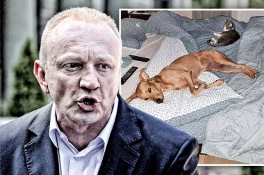 ĐILAS PREBIO PSA ZBOG ĆURKE, NIJE SE OBAZIRAO NA MOLBE DA PRESTANE: Otkrivena mračna strana opozicionog lidera