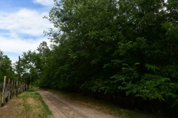 TEŠKA NESREĆA U BERANAMA! Muškarac poginuo vozeći kvad na šumskom putu!