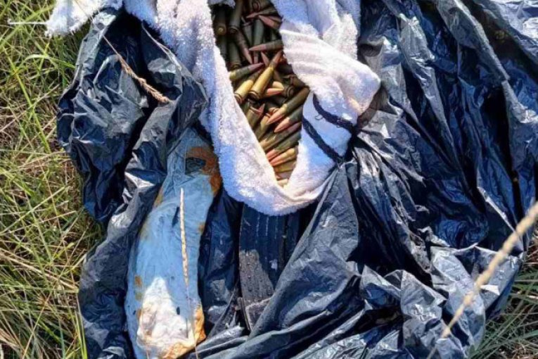 Zaplena u akciji MUP Srbije