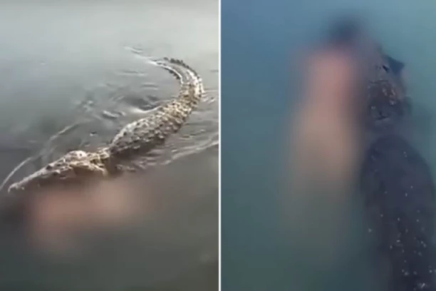 GMIZAVAC MU VUKAO BEŽIVOTNO TELO U ČELJUSTIMA! Ušao u vodu da pobegne od letnje žege, pa ga ŠČEPALA neman! (VIDEO)