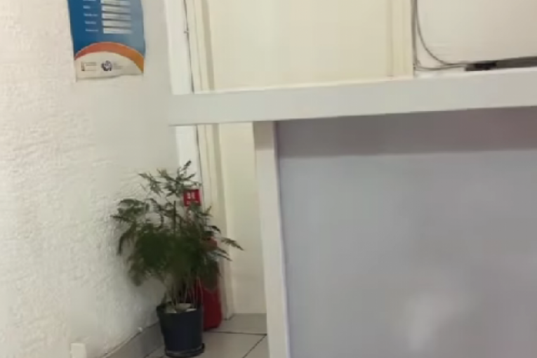 Neca Lazić Instagram