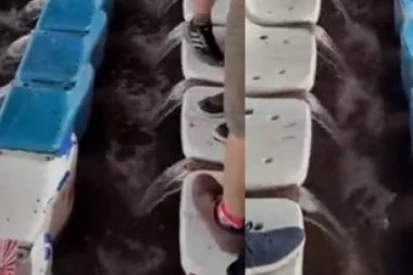 TRIBINE MARAKANE ILI NIJAGARINI VODOPADI? Nestvarna scena na stadionu "Rajko Mitić" (VIDEO)