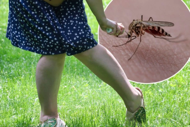 OVO SU SIMPTOMI DA VAS JE UJEO ZARAŽEN KOMARAC! Groznica Zapadnog Nila odnela dva života u Srbiji, ovo je način da se zaštitite!