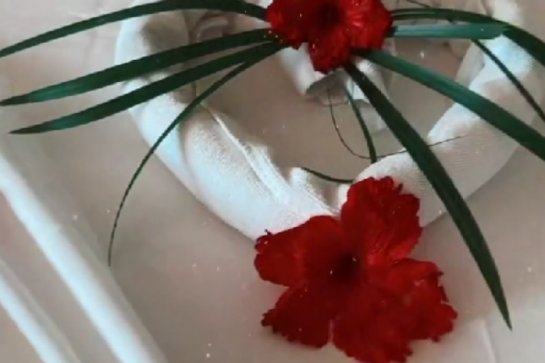 Anita i Matora na medenom mesecu