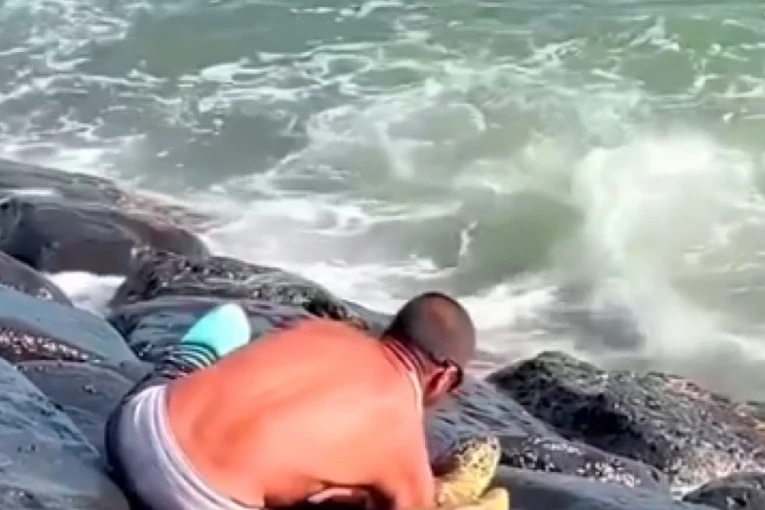 ŠETAO JE OBALOM I VIDEO KAKO SE NEŠTO VELIKO POMERA IZMEĐU DVE STENE: Prišao je bliže, zasukao rukave, a onda je usledila borba! (FOTO+VIDEO)