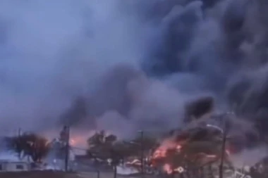 NOVI POŽAR NA HAVAJIMA! Uništen Nacionalni rezervat za divlje životinje Oahu Forest! U NJEMU BIO DOM 22 UGROŽENE VRSTE!