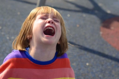 BAKA SANDRA UDARILA UNUKA PA ZAVRŠILA NA SUDU! Prijavila je snaha! ON ŠUTNUO PSA, ONA MU UDARILA TRI ŠAMARA!