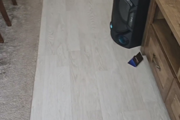 Miljana Kulić provocira Zolu