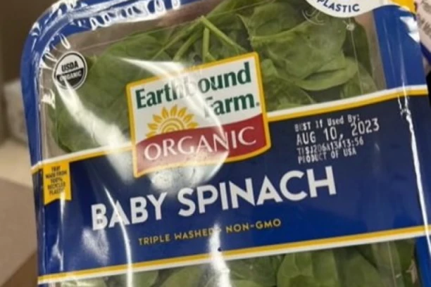 KUPILI SU PAKOVANJE ORGANSKOG SPANAĆA,  A ONDA JE USLEDIO ŠOK Porodica iz Mičigena ostala ZGROŽENA: "Hvala Bogu što to nismo pojeli" (VIDEO)