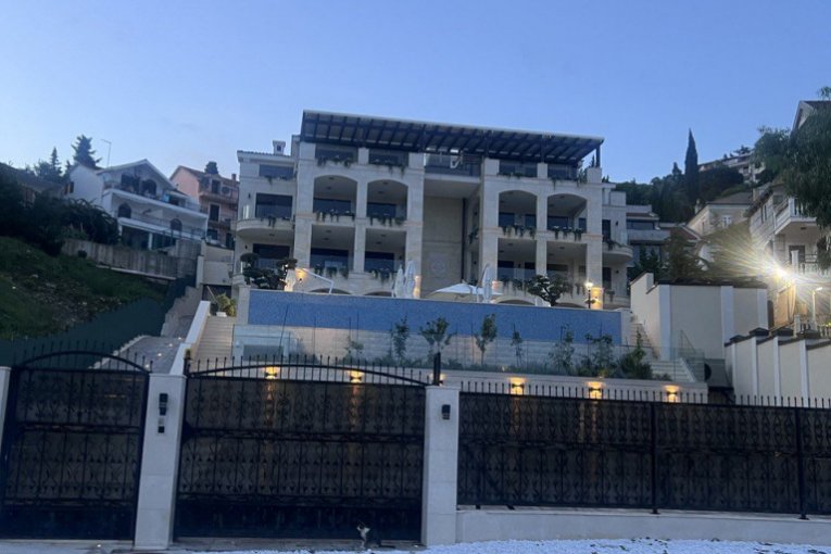 Vila Bogoljuba Karića