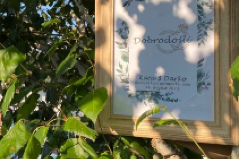 Darko Lazić i Katarina Stojanović