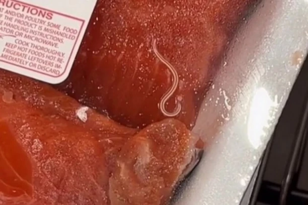 ŽENI POZLILO U TRENUTKU: Htela da kupi lososa, pa na kasi u pakovanju PRIMETILA CRVA! Komentar menadžera supermarketa ju je uništio