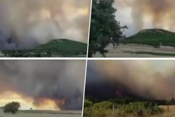 CRKVE U PLAMENU, GORE KUĆE! POŽARI BACILI GRČKU NA KOLENA! Vatrena stihija guta sve pred sobom - izdato HITNO OBAVEŠTENJE! (VIDEO)