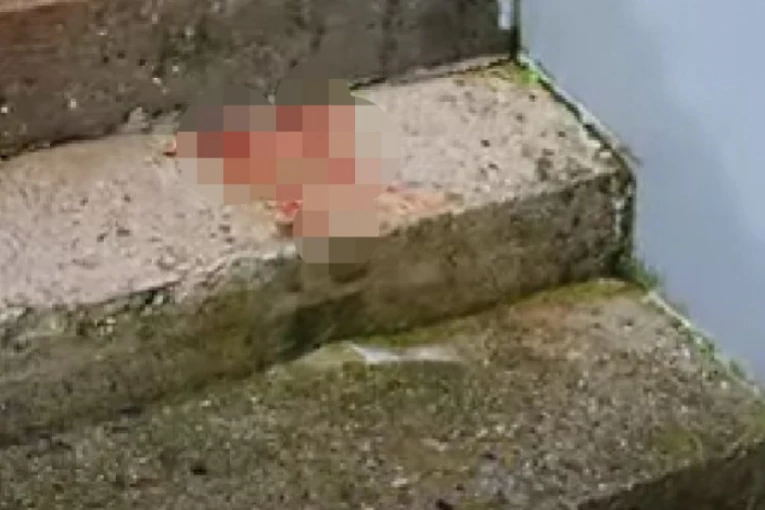 GLUMCI U ŠOKU, PUBLIKA PLAČE ZA NJIM: Poznati reditelj i njegova supruga IZBODENI NA SMRT