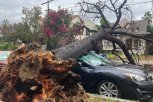 HILARI OPUSTOŠILA KALIFORNIJU: Putevi poplavljeni, drveće slomljeno, spasioci buldožerima spasavavali ljude iz doma za stare (VIDEO)