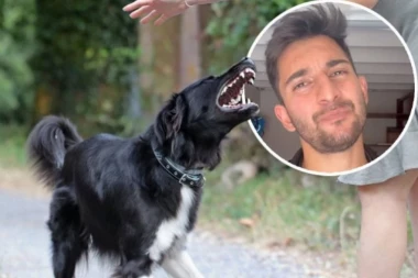 OVO SU 5 ZNAKOVA UPOZORENJA DA ĆE VAS PAS UJESTI: Veterinar savetuje kako da na vreme prepoznate opasnost (VIDEO)