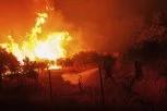 GRČKA ZAVIJENA U CRNO! U šumi koja gori pronađeno 18 tela - vatrogasci i dalje vode borbu sa vatrom