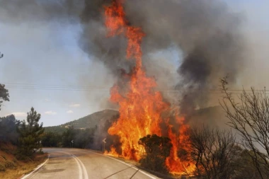 BESNE POŽARI U GRČKOJ: Apokaliptični snimci sa terena - vatrogasci se danima bore protiv vatrene stihije (FOTO)