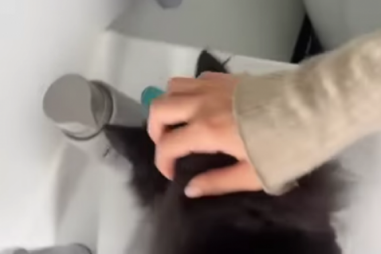 Vojaž pokazao devojku