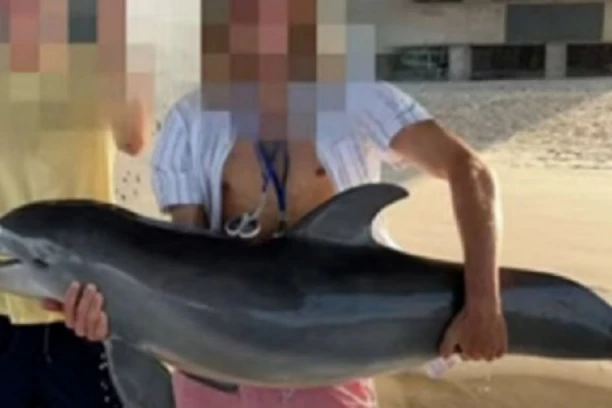 SMUČILO MU SE SVE: Mladić izvukao bebu delfina iz vode zbog SELFIJA, a onda je doživeo NAJGORI MOMENAT ŽIVOTA