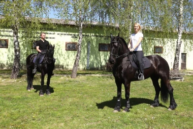 OTKRIVAMO: Ovo je kobila koju je Ostoja Mijailović izgubio i za čiji pronalazak nudi 2.500 evra! (FOTO)