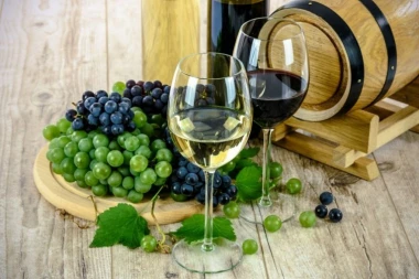 TRK U DELIBLATSKU PEŠČARU NA VINA SA PESKA: Obilazak vinograda i lokalnih vinarija Alibunara!