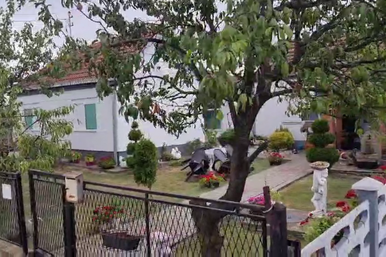 Darko Lazić kuća u Brestaču