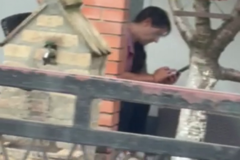 Branka Lazić u Brestaču