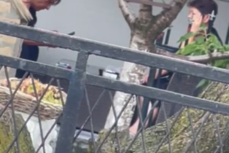 Branka Lazić u Brestaču