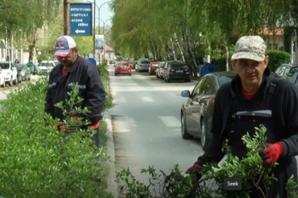 NAPADNUT RADNIK "GRADSKOG ZELENILA" U ČAČKU: "Štapom dugim dva metra me udarao po ledjima"!