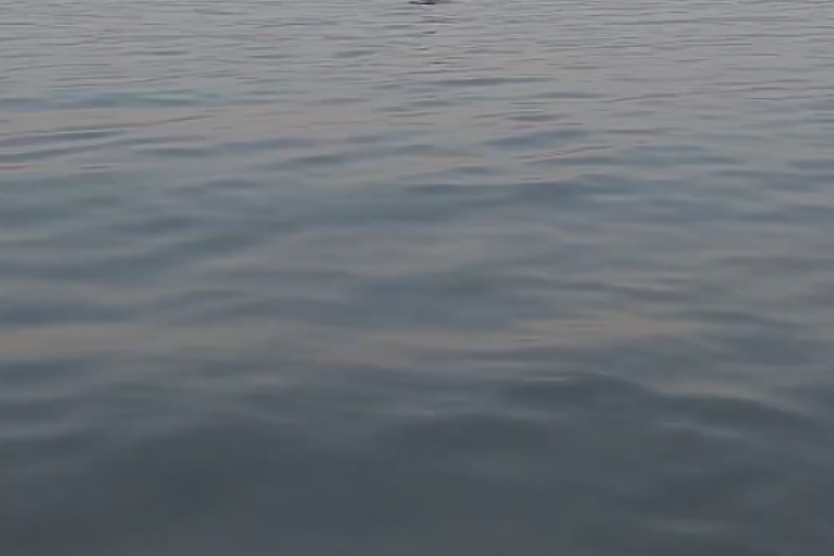 Željko Kulić i Siniša
