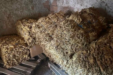 NAŠLI MU U STANU VIŠE OD 722 KILOGRAMA DUVANA! Hapšenje u Nišu!