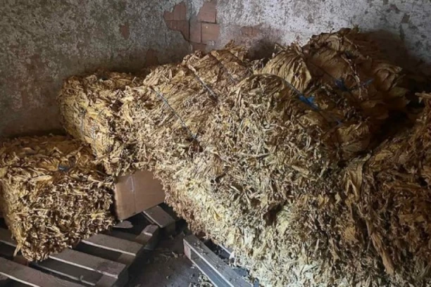 NAŠLI MU U STANU VIŠE OD 722 KILOGRAMA DUVANA! Hapšenje u Nišu!