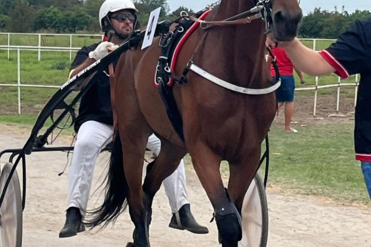 Nikola Jokić na hipodromu